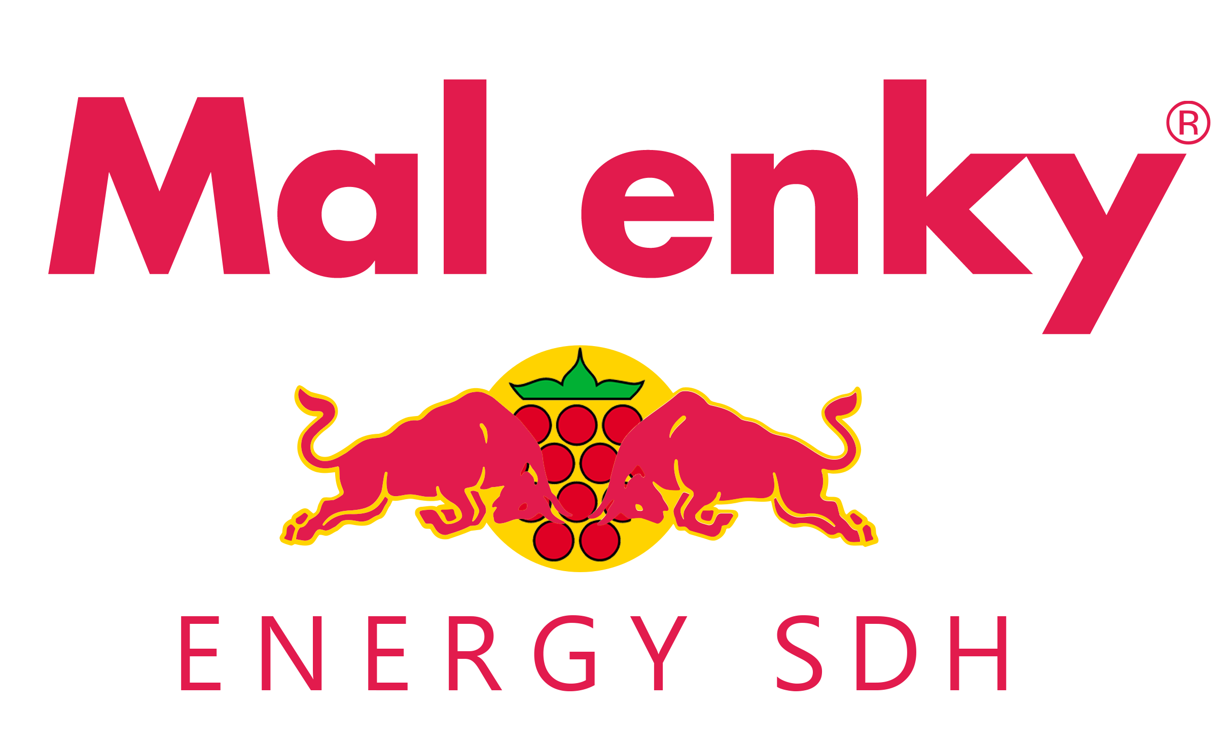 SDH Malenovice (okr. Frýdek – Místek)