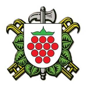 SDH Malenovice (okr. Frýdek – Místek)