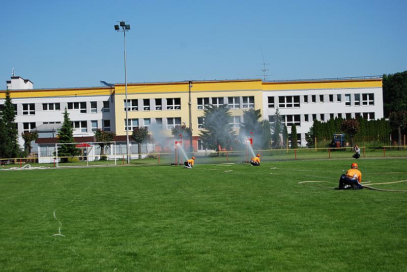 313.jpg