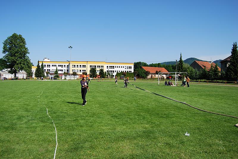 377.jpg