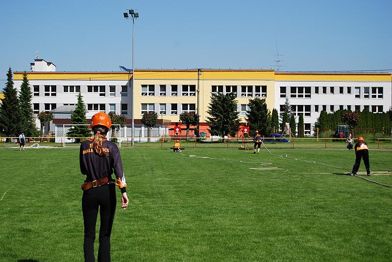 384.jpg