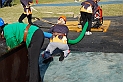 543