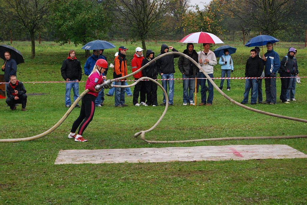 12340046.jpg