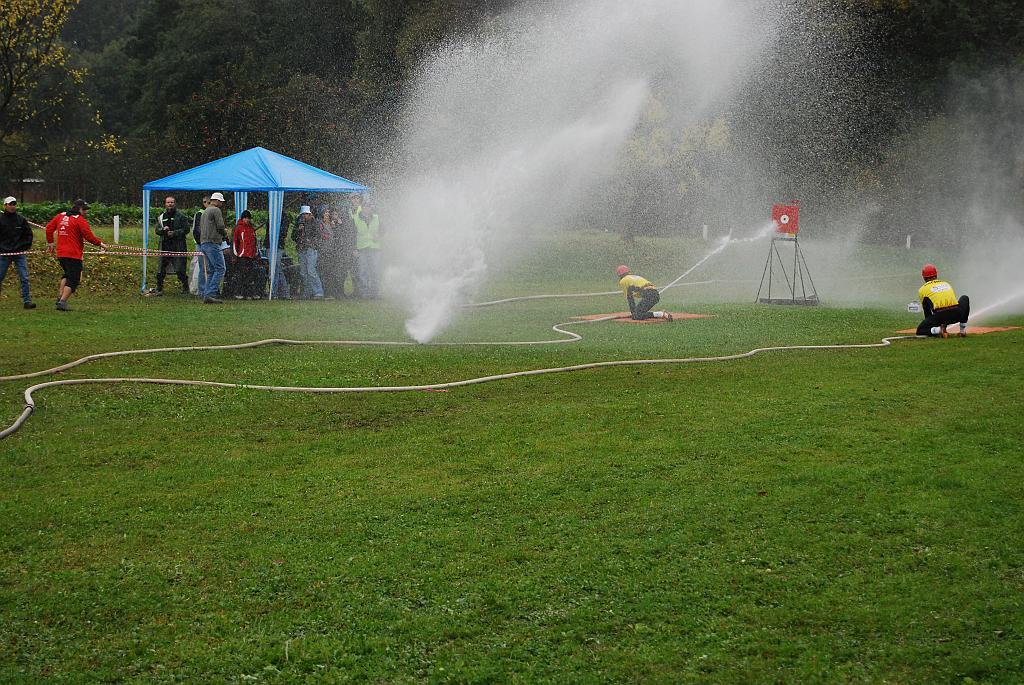 12340074.jpg