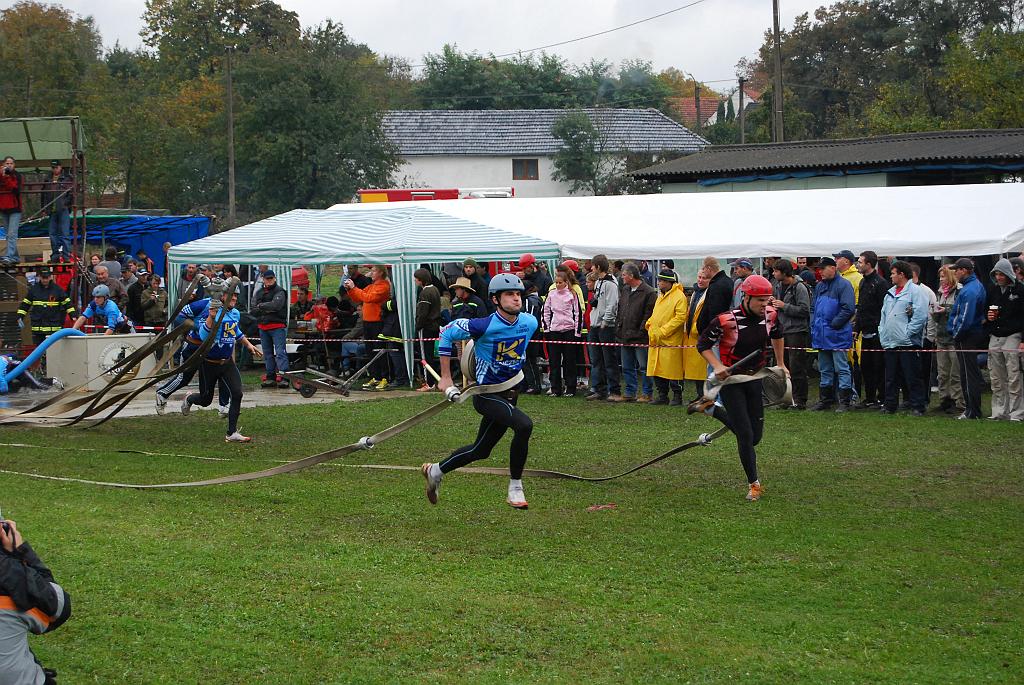 12340146.jpg