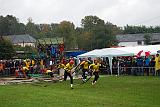 12340067