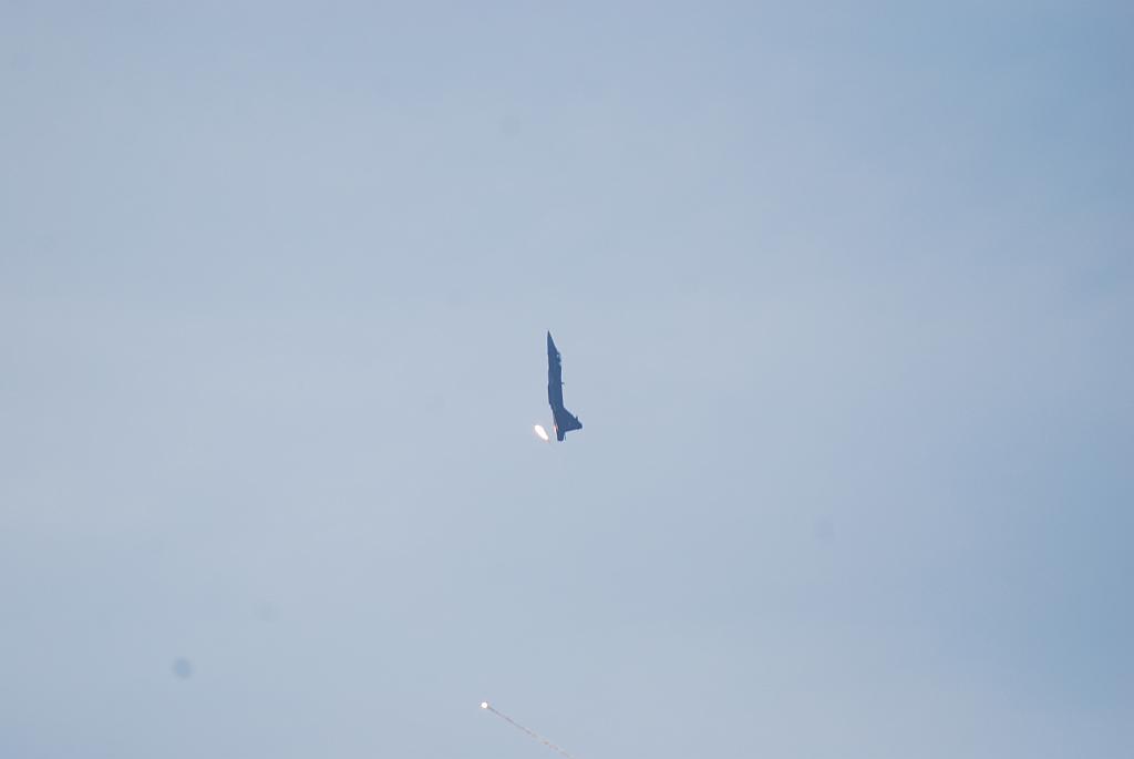354.jpg
