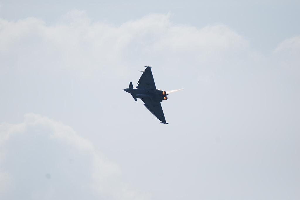 470.jpg
