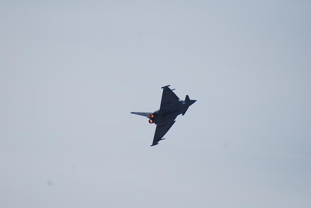 490.jpg