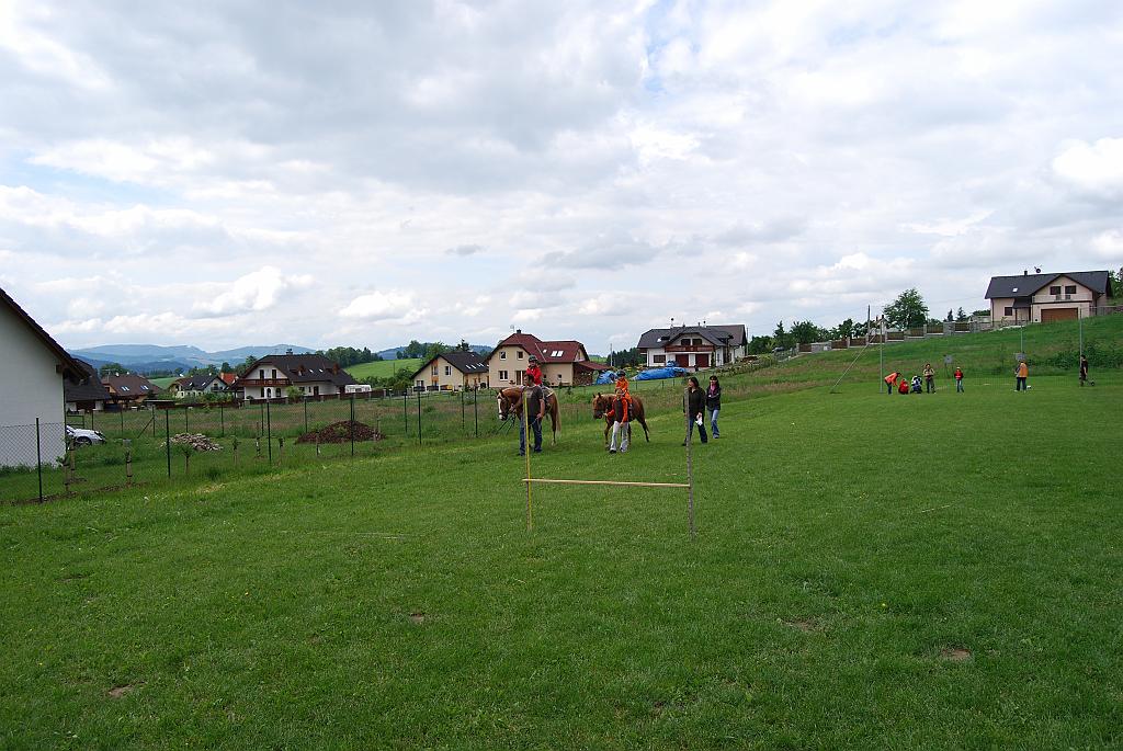 385.jpg