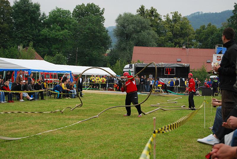 294.jpg