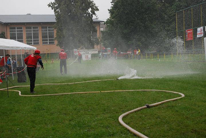 446.jpg