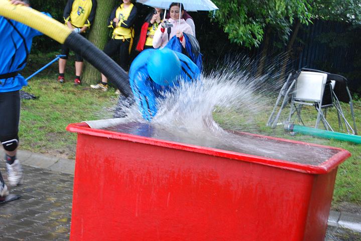 470.jpg