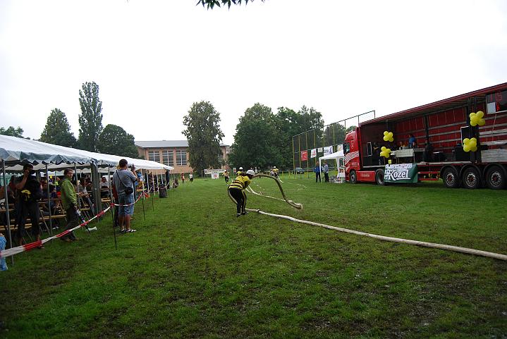 530.jpg