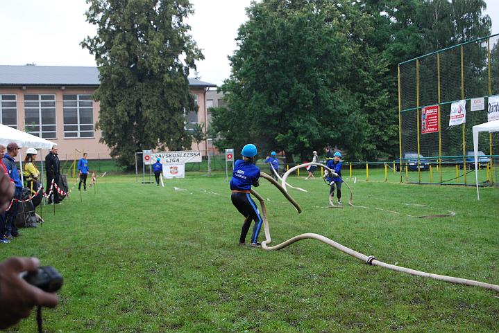 539.jpg