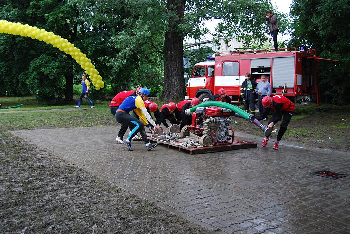 733.jpg
