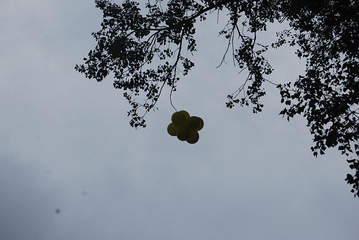 877.jpg