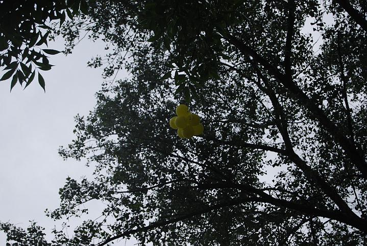 878.jpg