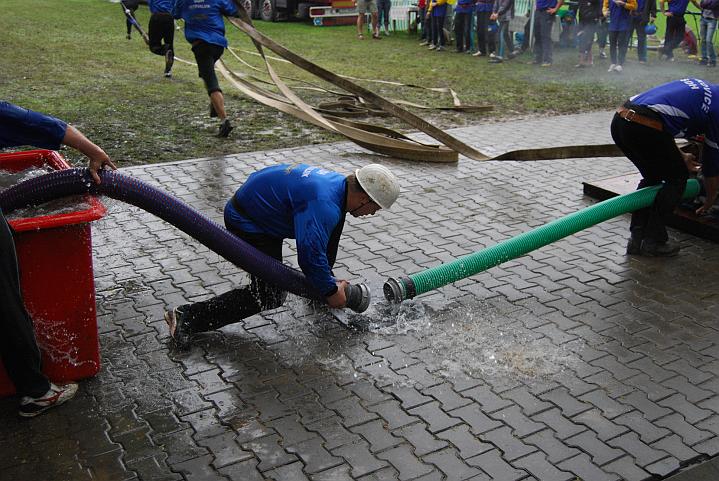 955.jpg