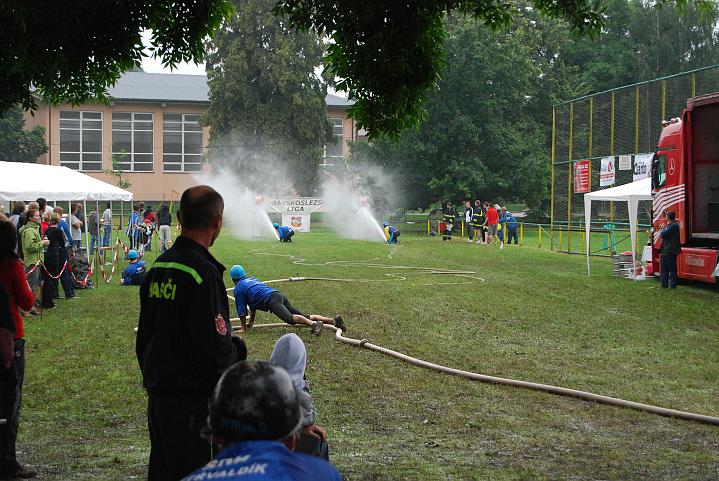 960.jpg