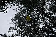 878