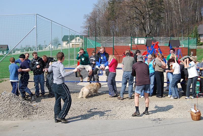 062.jpg