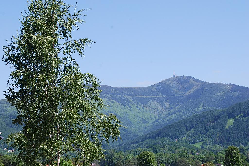 110.jpg