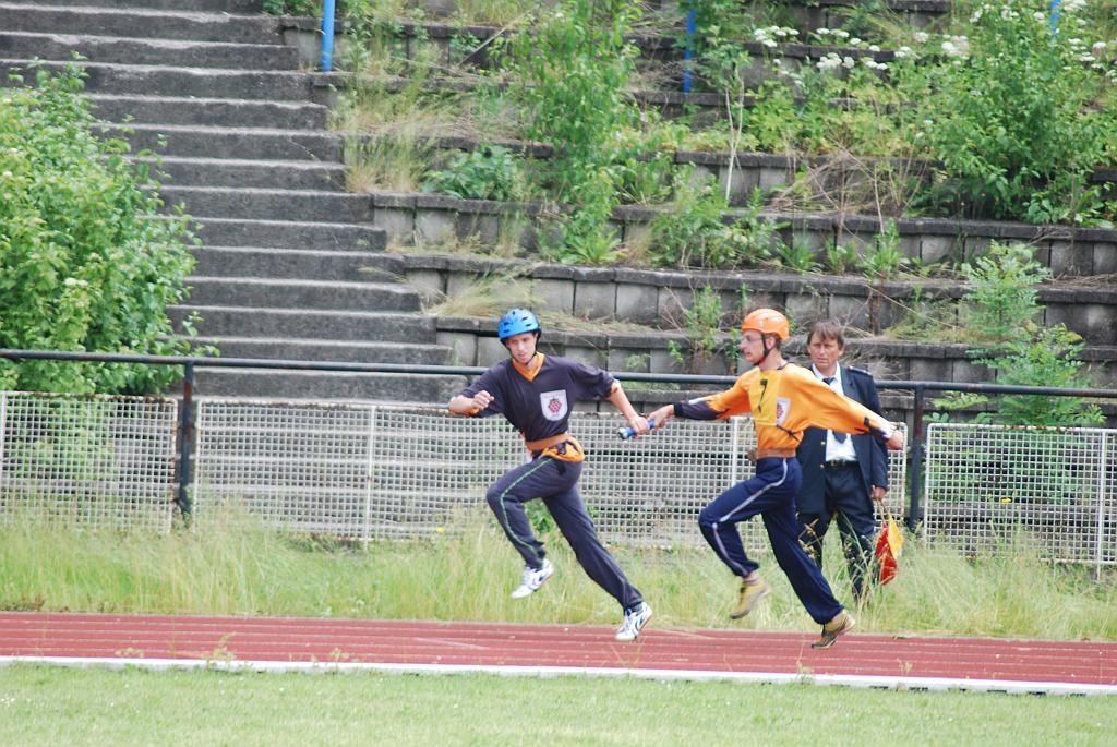229.jpg