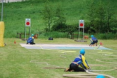230