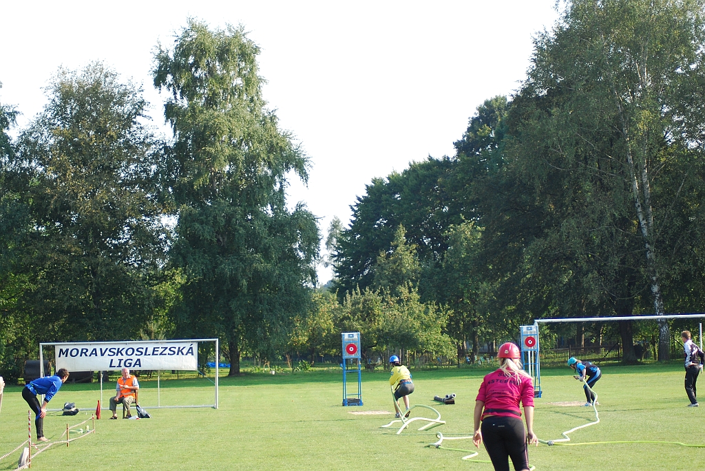 275.jpg